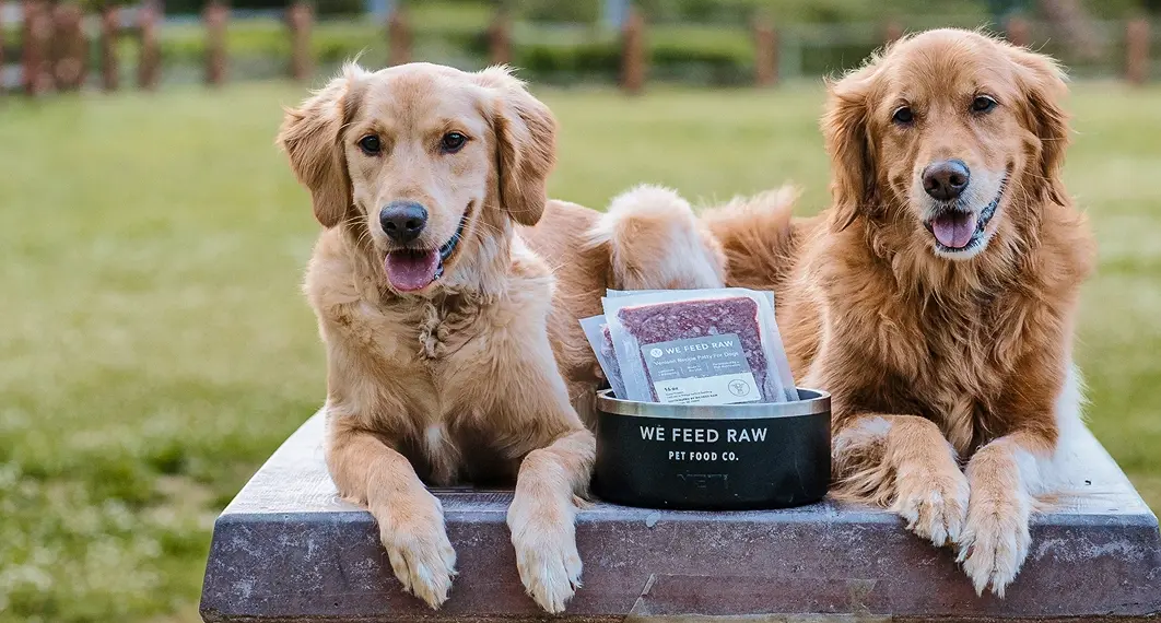 Two dogs sitting next to a bowl filled with We Feed Raw dog food