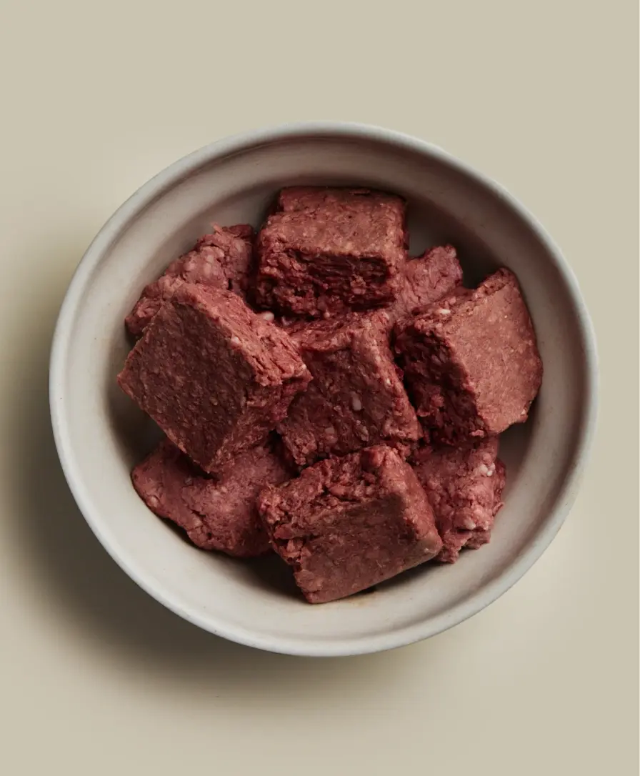 Dog food bowl full of We Feed Raw highly nutrient beef raw food