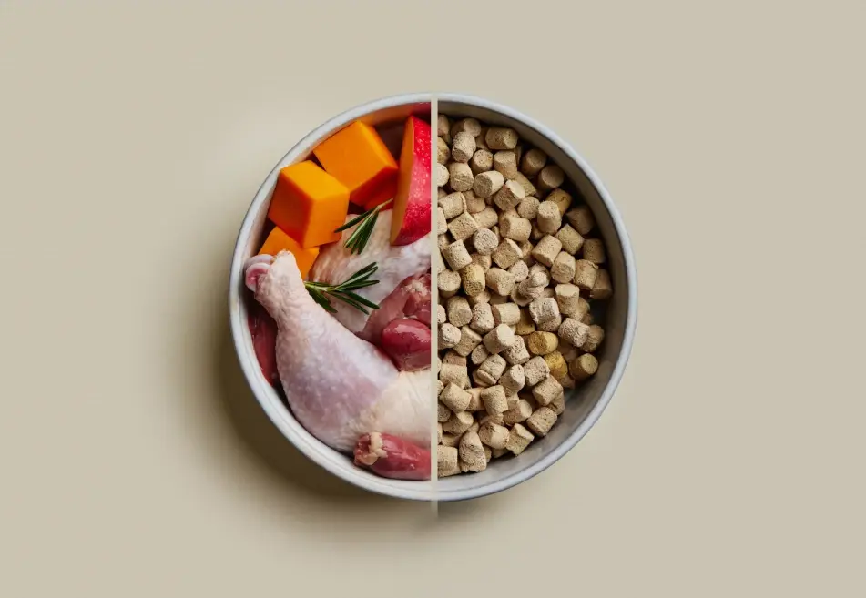 Split bowl comparison showing fresh raw chicken with vegetables versus freeze dried raw dog food