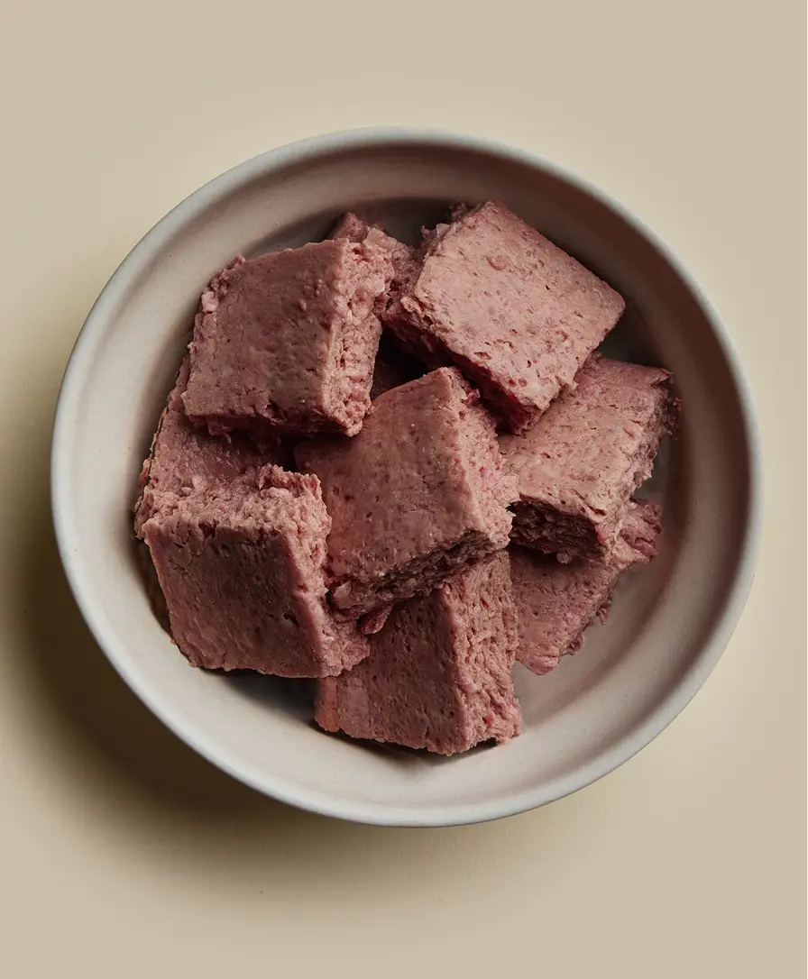 Dog food bowl full of We Feed Raw highly nutrient turkey raw food